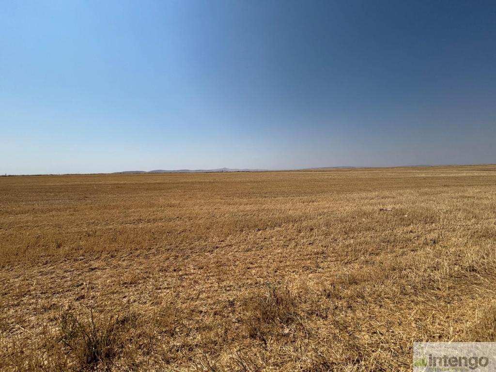 KOZAKLI KURUAĞIL KÖYÜ'NDE SATILIK TARLA (R-1874) — foto 5