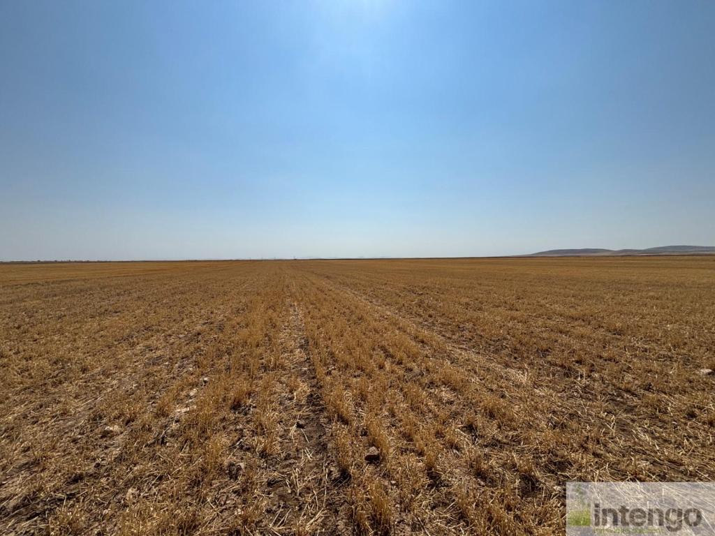 KOZAKLI KURUAĞIL KÖYÜ'NDE SATILIK TARLA (R-1875) — foto 7