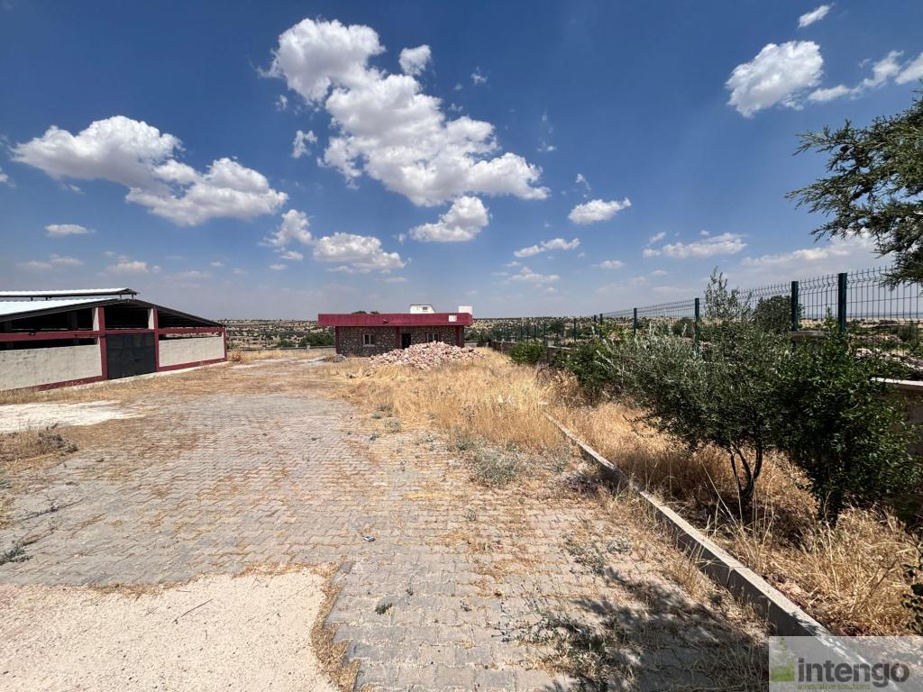 MİDYAT TOPTEPE MAHALLESİ'NDE SATILIK GENİŞ ARAZİLİ ÇİFTLİK (R-1871) — foto 6