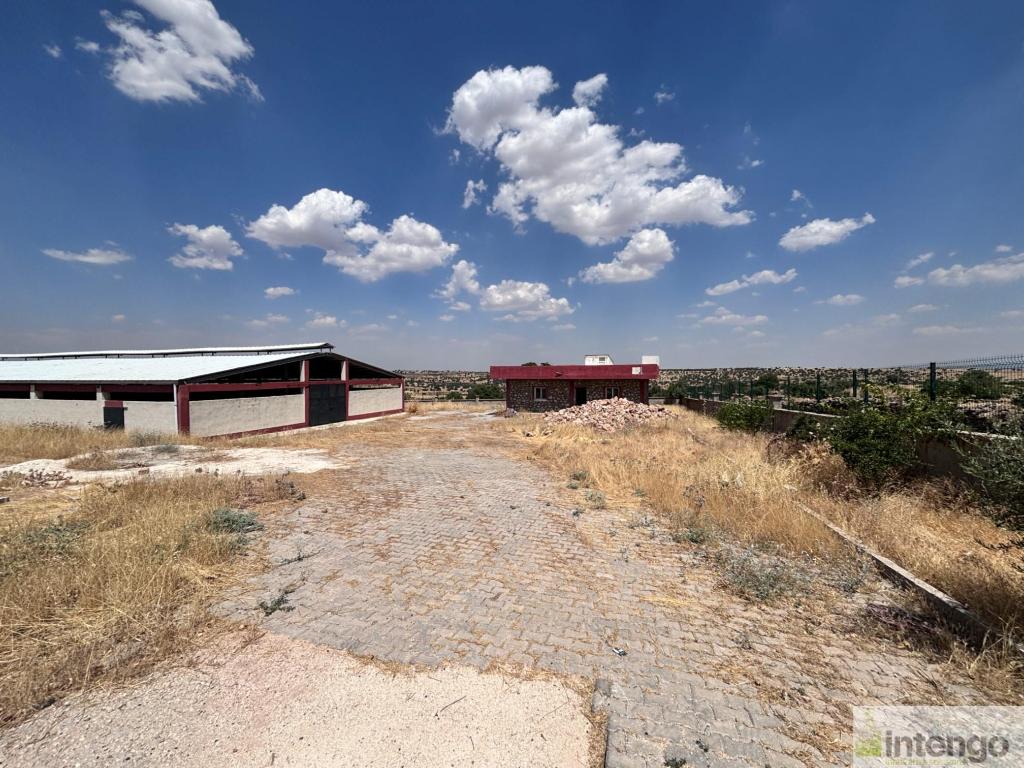 MİDYAT TOPTEPE MAHALLESİ'NDE SATILIK GENİŞ ARAZİLİ ÇİFTLİK (R-1871) — foto 5