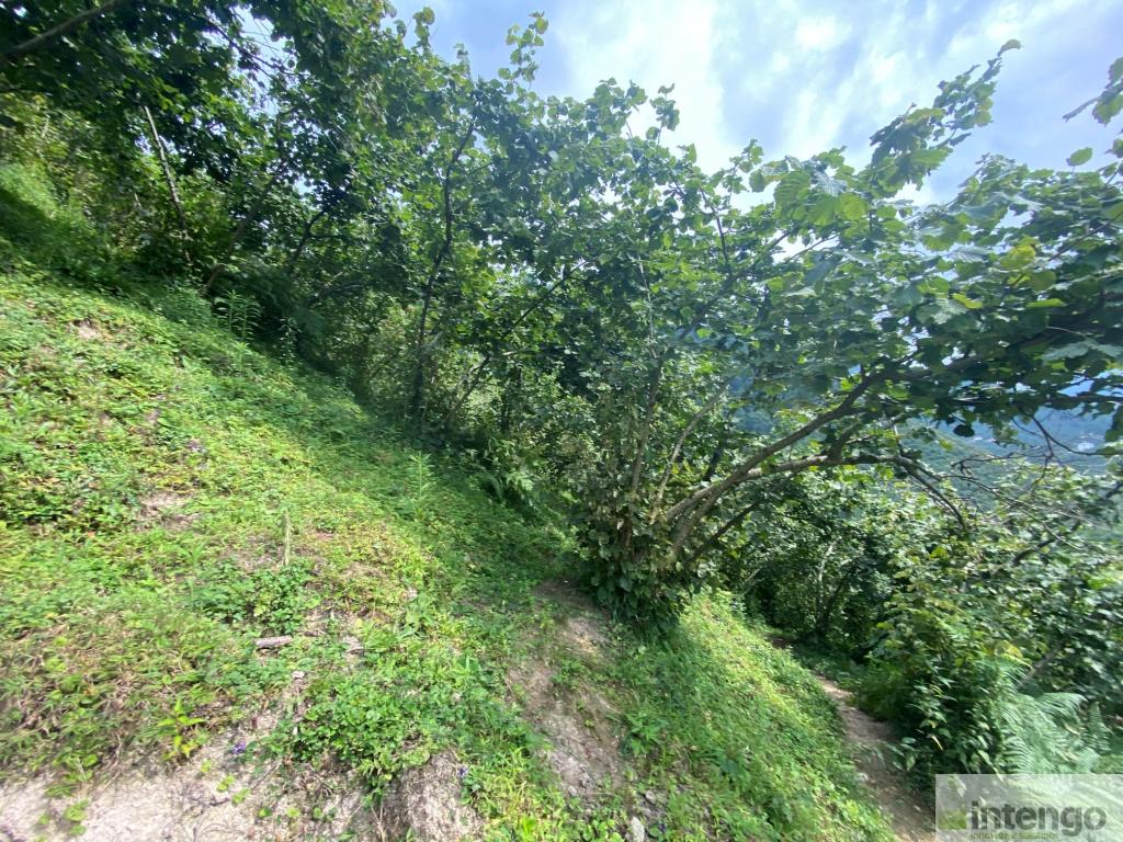 Görsel 26