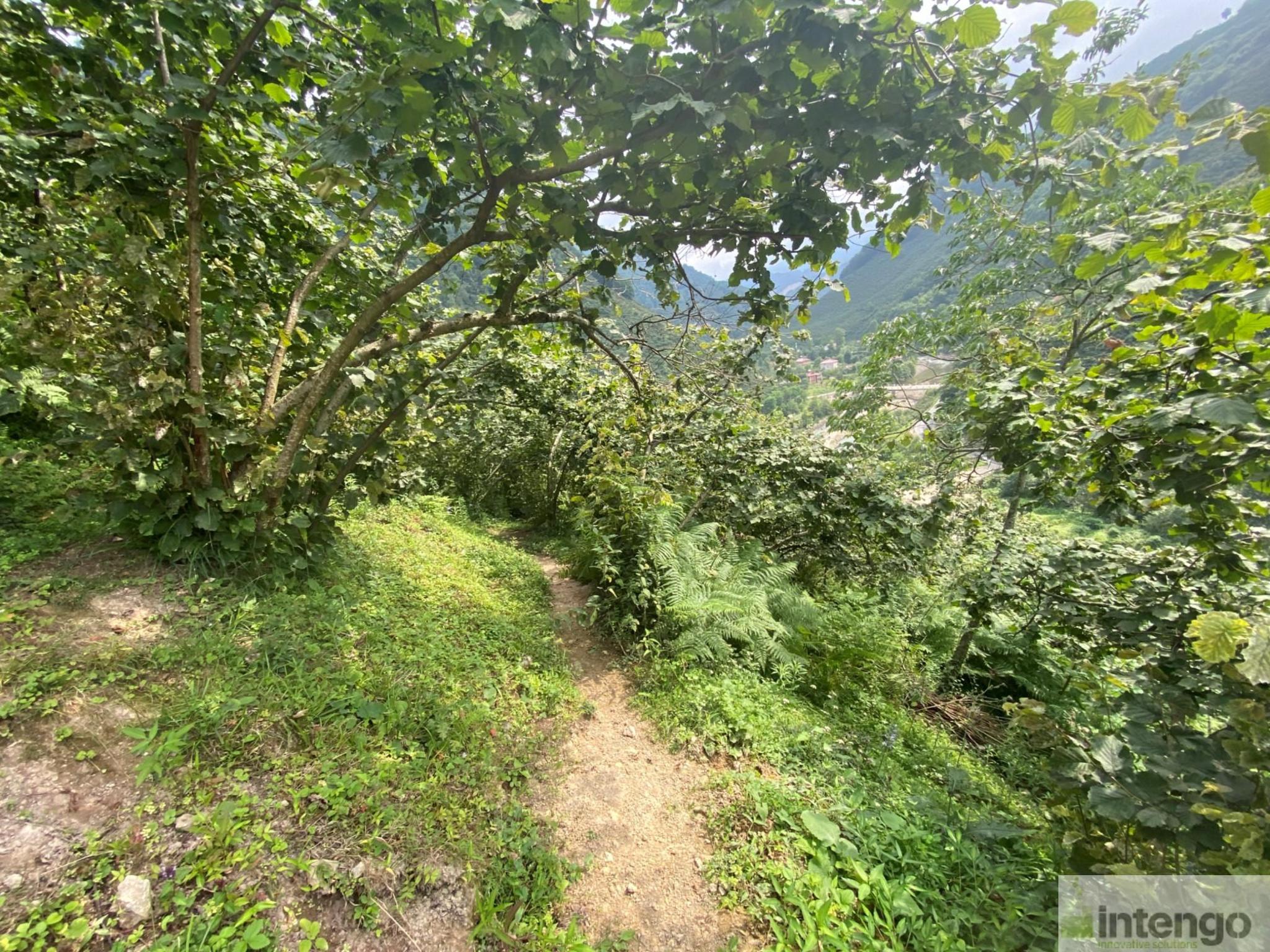 Arsa/Arazi - GİRESUN BULANCAK