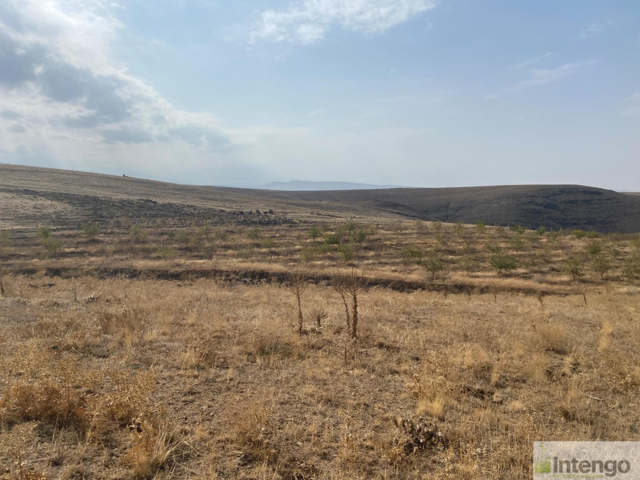 Görsel 4