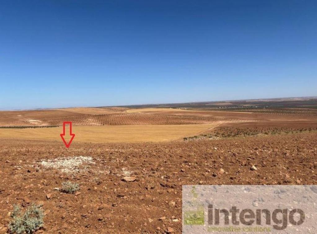 BİRECİK DIŞLIK MAH.'DE SATILIK 58 DÖNÜM TARLA (R-1065) — foto 2