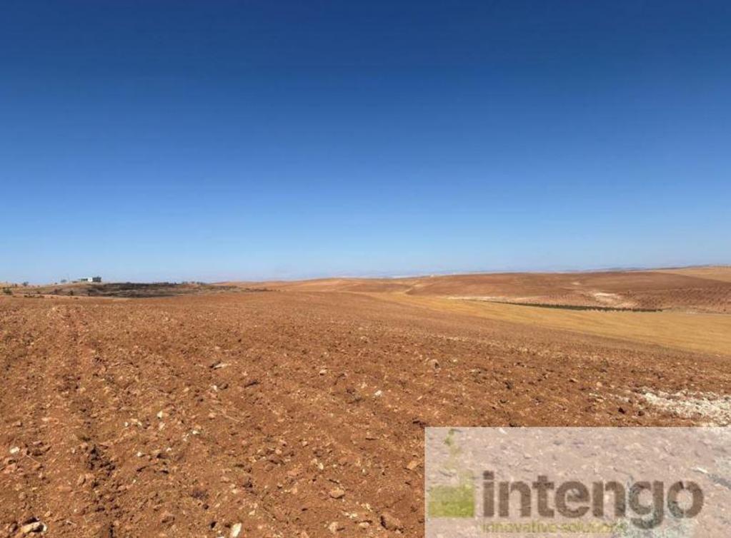 BİRECİK DIŞLIK MAH.'DE SATILIK 58 DÖNÜM TARLA (R-1065) — foto 3