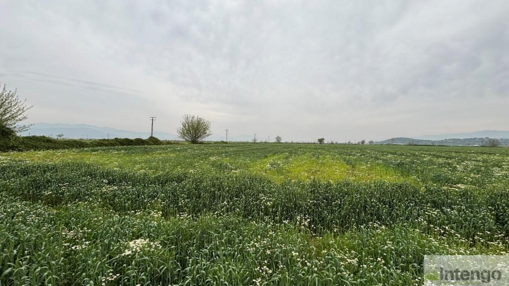 TİRE YENİÇİFTLİK MAHALLESİ'NDE SATILIK TARLA (U-41071)