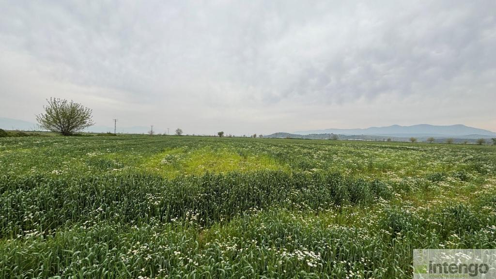 TİRE YENİÇİFTLİK MAHALLESİ'NDE SATILIK TARLA (U-41071)