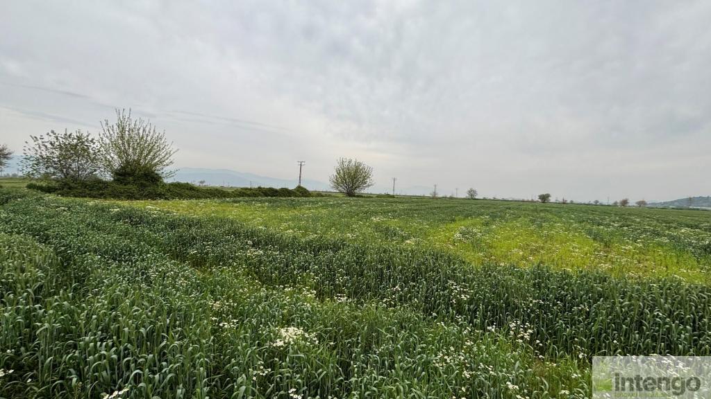 TİRE YENİÇİFTLİK MAHALLESİ'NDE SATILIK TARLA (U-41071)