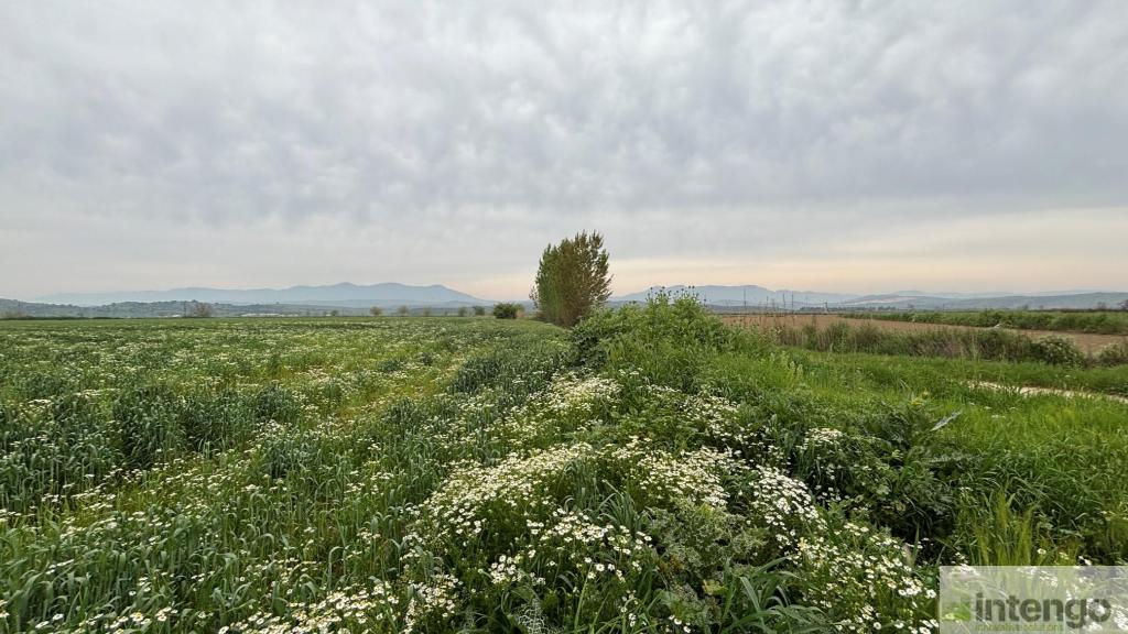 TİRE YENİÇİFTLİK MAHALLESİ'NDE SATILIK TARLA (U-41071)