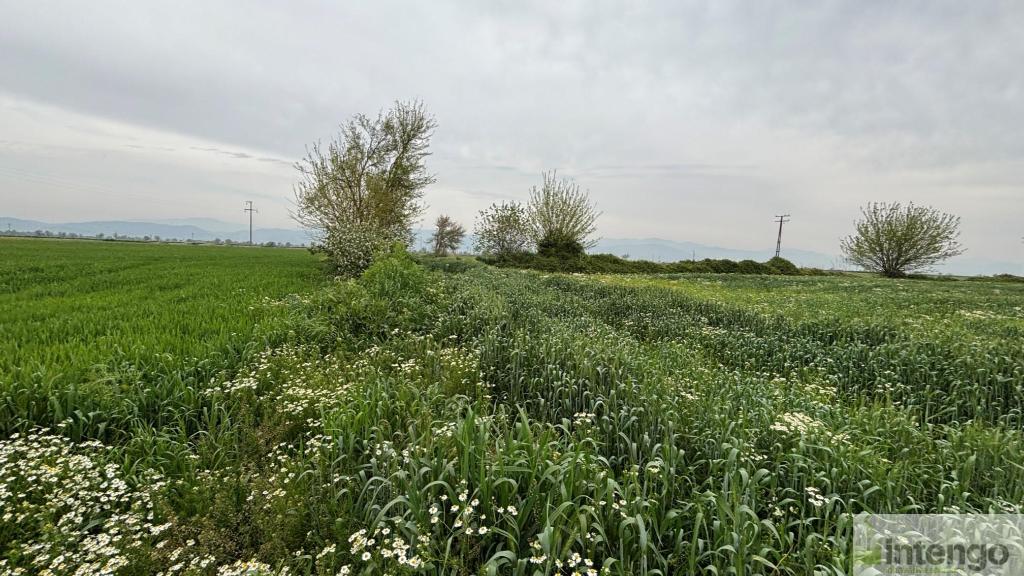 TİRE YENİÇİFTLİK MAHALLESİ'NDE SATILIK TARLA (U-41071)