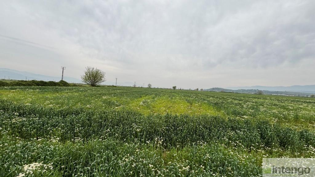 TİRE YENİÇİFTLİK MAHALLESİ'NDE SATILIK TARLA (U-41071)