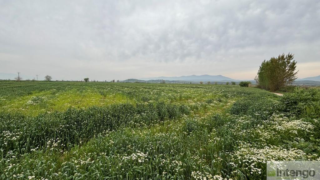 TİRE YENİÇİFTLİK MAHALLESİ'NDE SATILIK TARLA (U-41071)