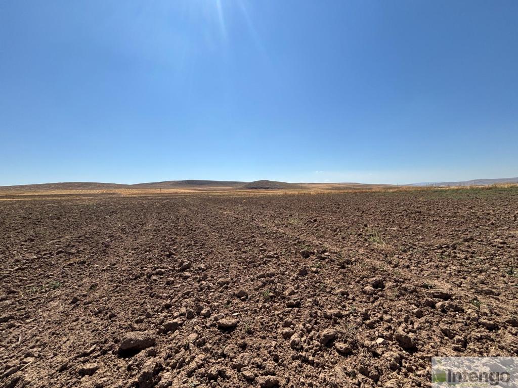 YUNAK KOÇYAZI MAHALLESİ'NDE SATILIK TARLA (U-41181)