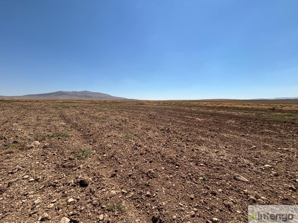 YUNAK KOÇYAZI MAHALLESİ'NDE SATILIK TARLA (U-41177)